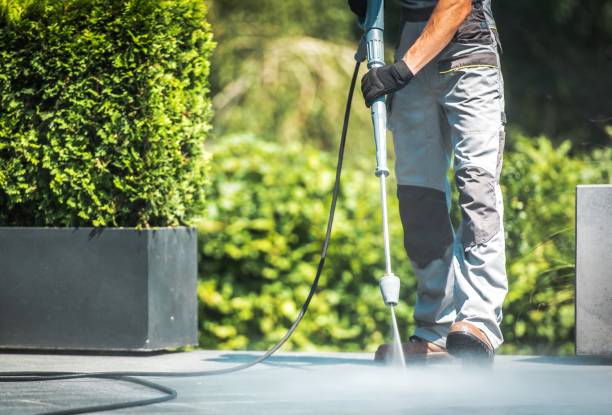 Best Dumpster Area Cleaning  in Ridge Manor, FL