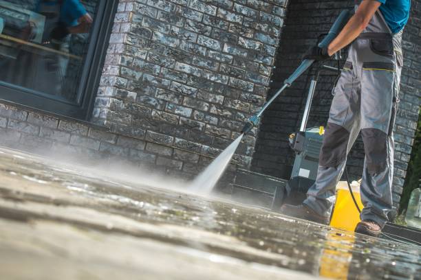Best Boat and Dock Cleaning  in Ridge Manor, FL