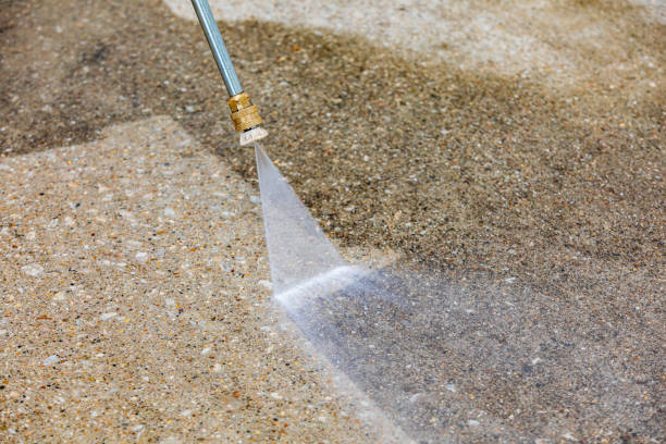 Best Pre-Holiday Cleaning  in Ridge Manor, FL