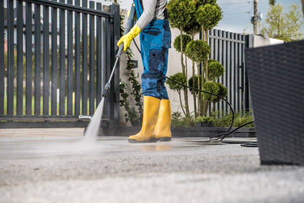 Best Roof Washing  in Ridge Manor, FL